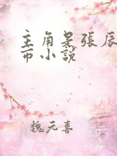 主角是张辰的都市小说