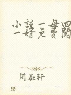 小说一母四女共一婿免费阅读