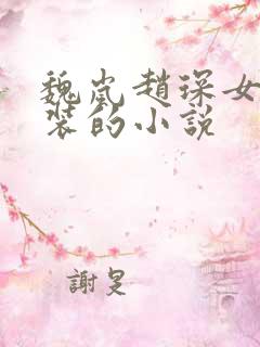 魏岚赵琛女扮男装的小说