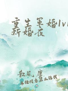 重生军婚1v1新婚夜