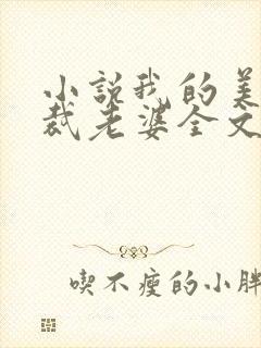 小说我的美女总裁老婆全文