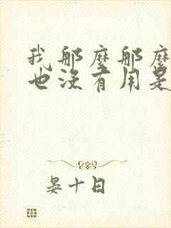 我那么那么爱你也没有用是什么歌