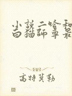 小说二哈和他的白猫师尊最新