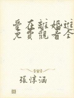 爱在离婚进行时免费观看全集