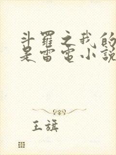 斗罗之我的武魂是雷电小说