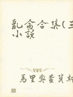 乱仑合集(三)小说