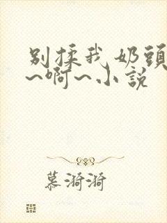 别揉我奶头~嗯~啊~小说