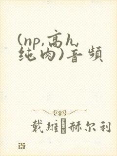 (np,高h,纯肉)音频