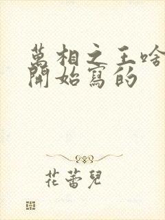 万相之王啥时候开始写的