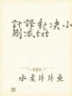 针锋对决小说未删减txt