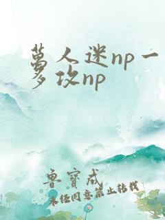万人迷np一受多攻np