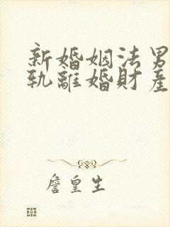 新婚姻法男方出轨离婚财产分割