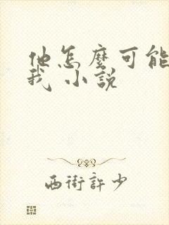 他怎么可能喜欢我 小说