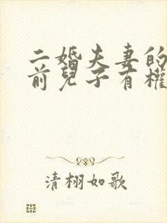 二婚夫妻的财产前儿子有权继承吗