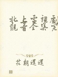 北上电视剧免费观看全集完整版星辰影院