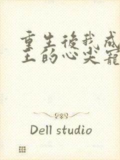 重生后我成了傻王的心尖宠