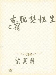 古耽双性生子文c宠