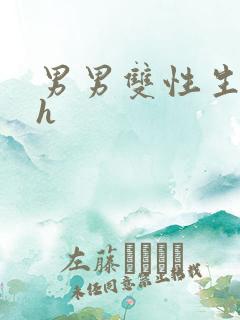 男男双性生子高h