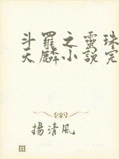 斗罗之灵珠神剑天麟小说完整版下载txt