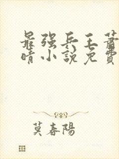 最强兵王萧晨苏晴小说免费阅读