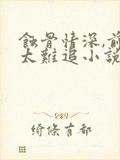 蚀骨情深,前妻太难追小说免费阅读全文