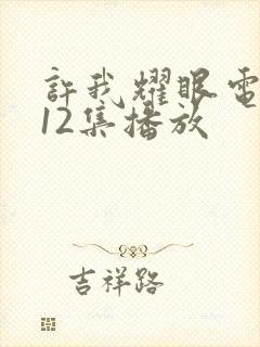 许我耀眼电视剧12集播放