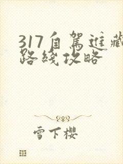 317自驾进藏路线攻略