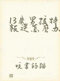 13岁男孩特别叛逆怎么办