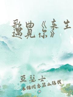 歌曲《来生不再遇见你》