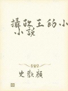 摄政王的小闲妻 小说