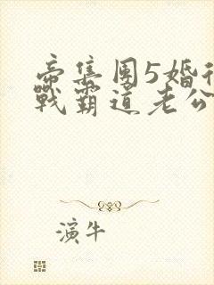 帝集团5婚后冷战霸道老公txt