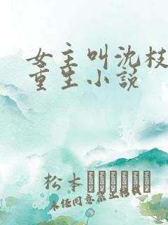 女主叫沈枝意的重生小说