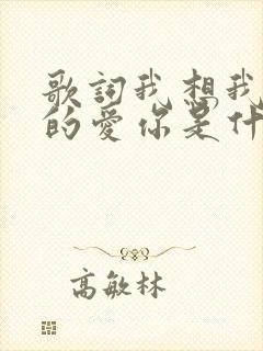 歌词我想我是真的爱你是什么歌