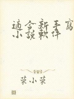 适合新手写作的小说软件