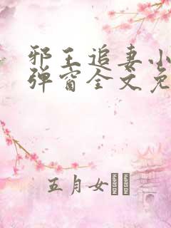 邪王追妻小说无弹窗全文免费阅读