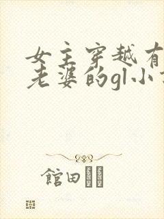 女主穿越有很多老婆的gl小说