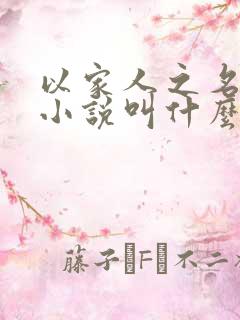 以家人之名原著小说叫什么名字