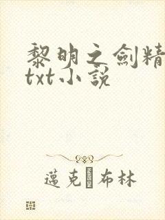 黎明之剑精校版txt小说