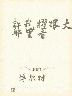 许我耀眼大结局哪里看