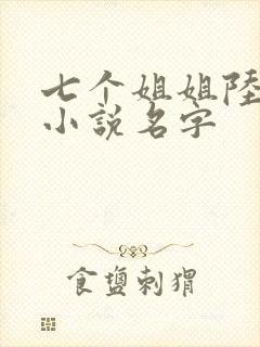 七个姐姐陆云的小说名字