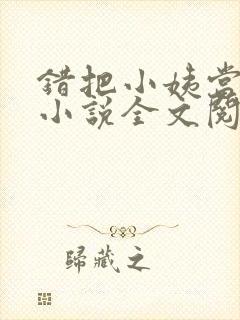 错把小姨当老婆小说全文阅读