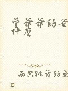 曾爷爷的爸爸叫什么