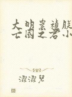 大明崇祯朕不当亡国之君小说