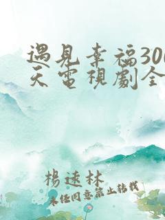 遇见幸福300天电视剧全集免费观看