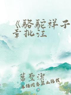 《骆驼祥子》每章批注