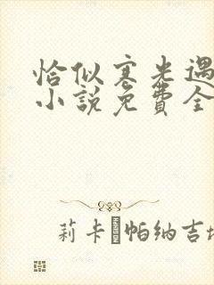 恰似寒光遇骄阳小说免费全文在线