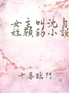 女主叫沈月男主姓顾的小说