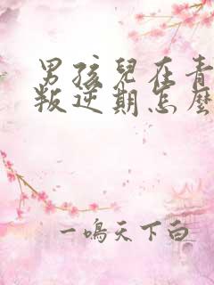 男孩儿在青春期叛逆期怎么沟通