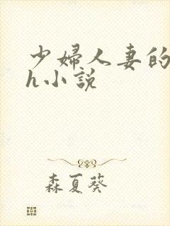 少妇人妻的欲望h小说