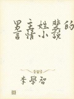 男主姓裴的现代言情小说